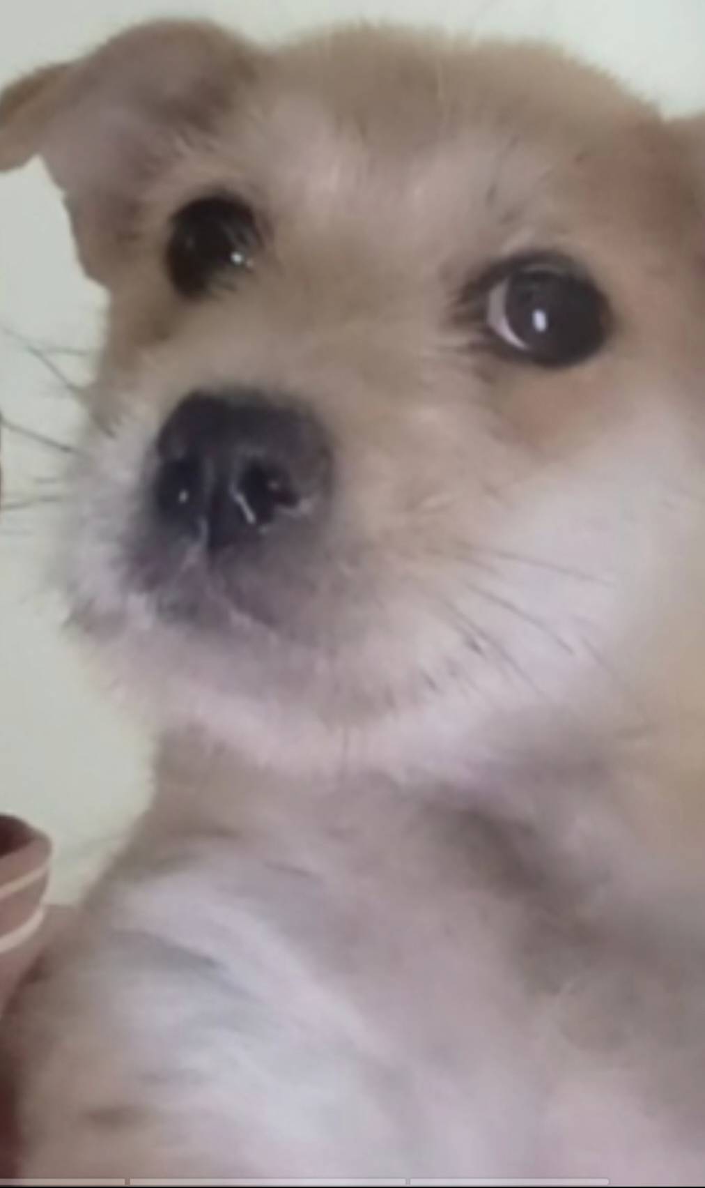 个人证件照